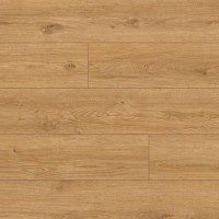 62752 Arteo 8 М Дуб Хамра в Украине
