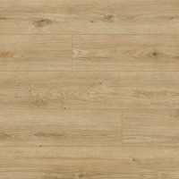 62753 Arteo 8 М Дуб Каракум в Украине