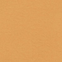 Обои Rasch 464085 в Украине