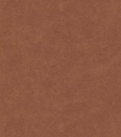 Обои Rasch 445886 в Украине
