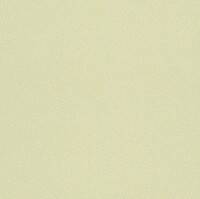 Обои Rasch 246131 в Украине