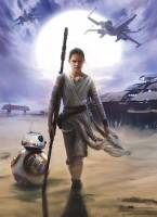 4-448 Star Wars Rey в Украине