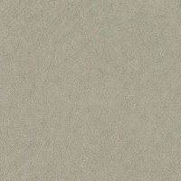 Обои Rasch 947410 в Украине