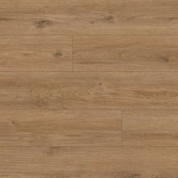 62754 Arteo 8 М Дуб Катам в Украине