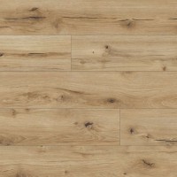 62751 Arteo 8 М Дуб Гібсон в Украине