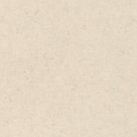Обои Rasch 910483 в Украине