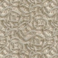 Обои Roberto Cavalli 18017 в Украине