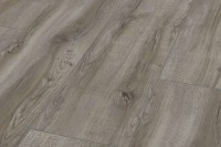 3662 Montmelo Eiche Silber в Украине