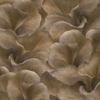 Обои Erismann 12255-11 в Украине