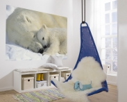 Фотообои  Komar  1-605 Polar Bears, фото 0