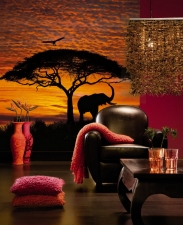 Фотошпалери  Komar  4-501 African Sunset, фото 0